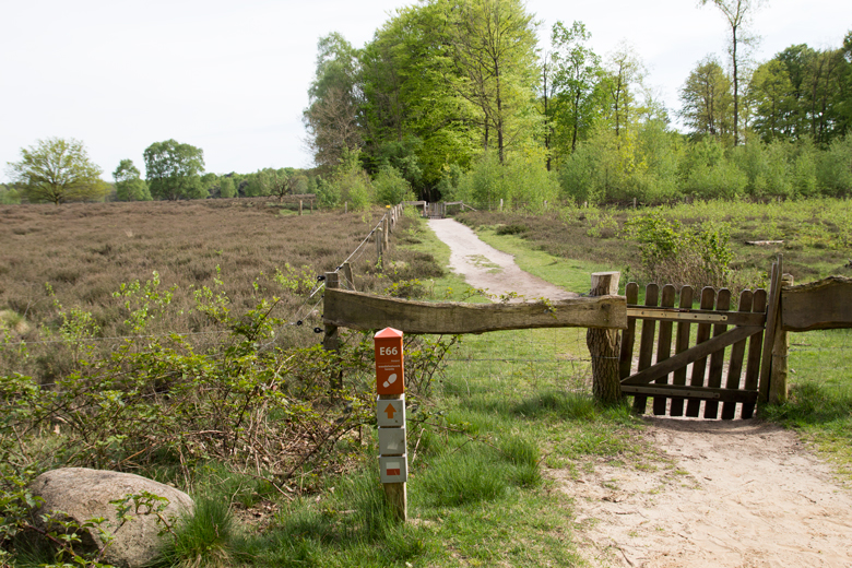 Paardeslengte Springendal