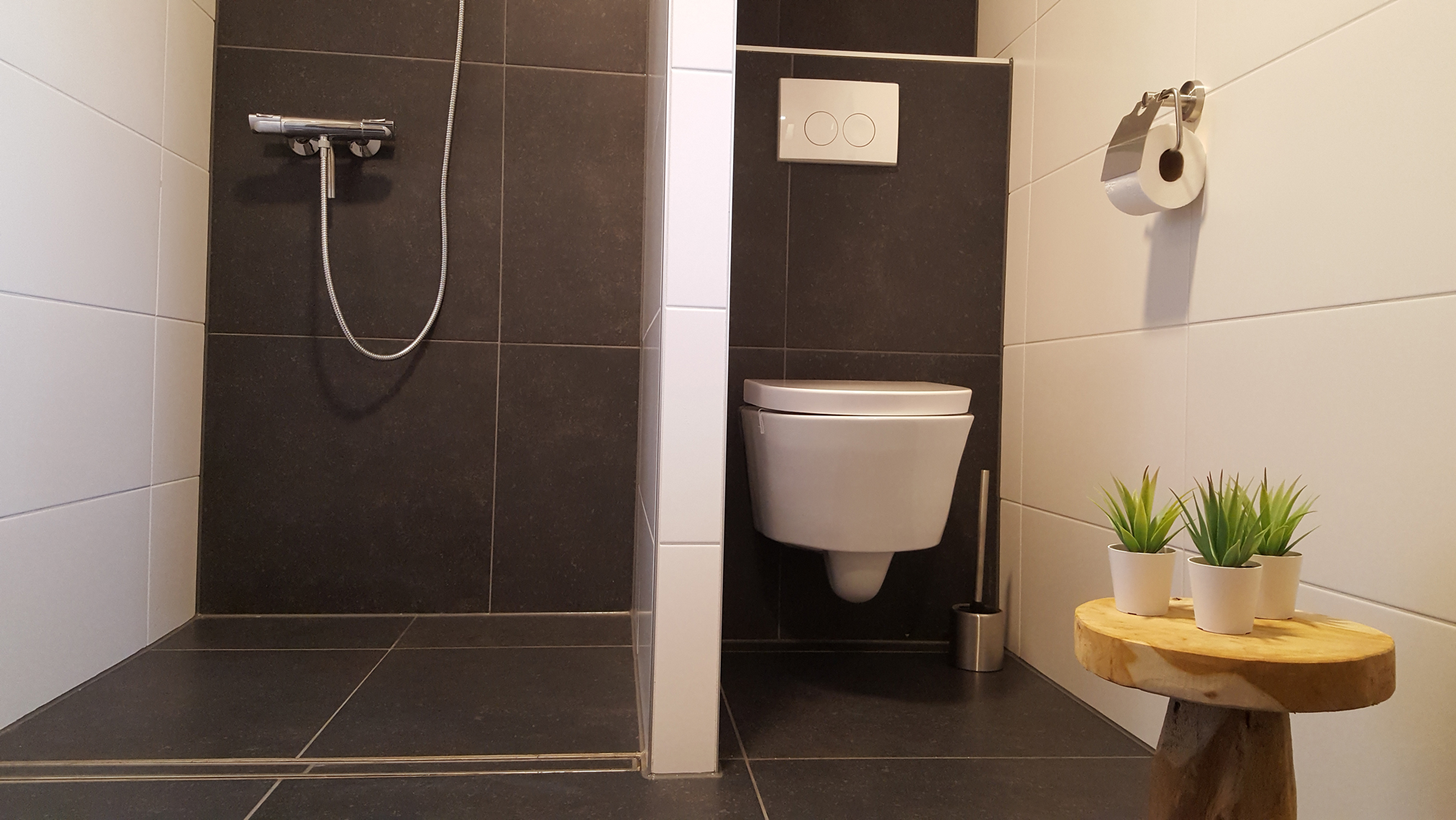 badkamer met douche en extra toilet