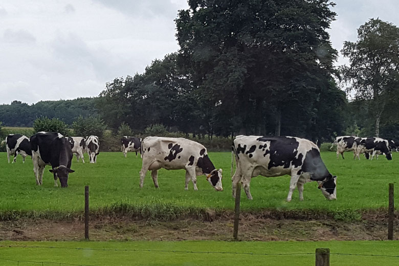 uitzicht kamer hoog twente