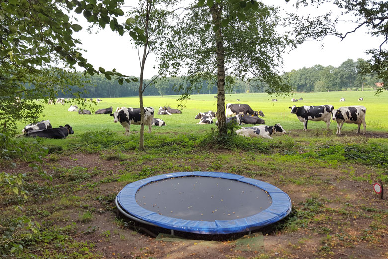 trampoline hoog twente